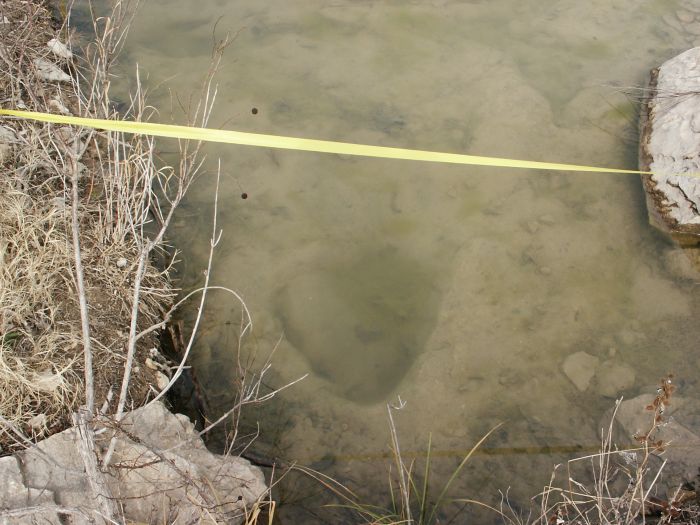 Cretacious Dinosaur Tracks near Glen Rose, Texas.