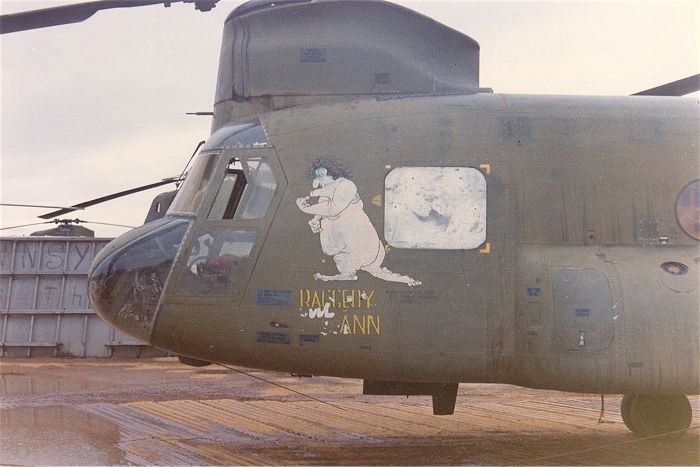 Nose Art from the 132nd Assault Support Helicopter Company (ASHC) - "Hercules", from their days in the Republic of Vietnam.